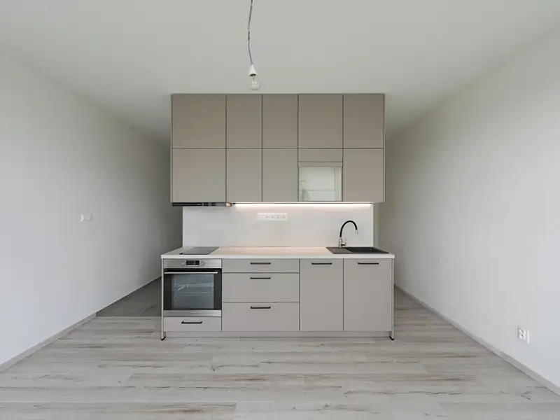 Pronájem bytu 1+kk 36 m², Plzeň – náhled fotky 2
