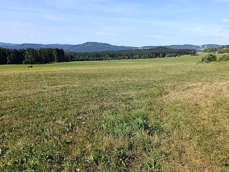 Grundstück zum Kauf, 6.999 m² (3 von 4)