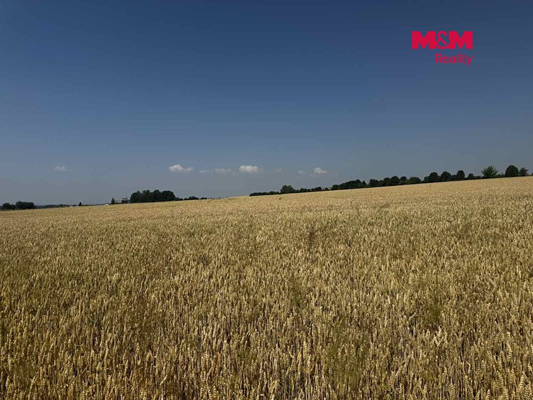Ділянка на продаж, 244 621 м² (2 з 3)