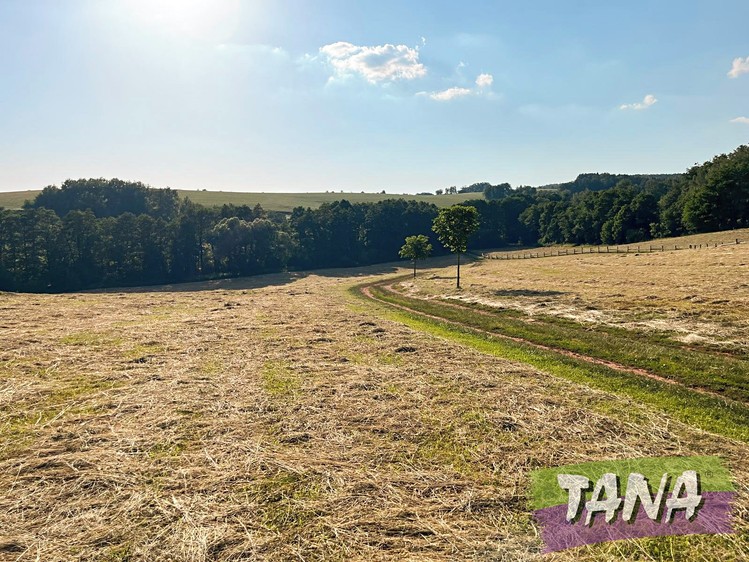 Grundstück zum Kauf, 13.561 m² (25 von 26)