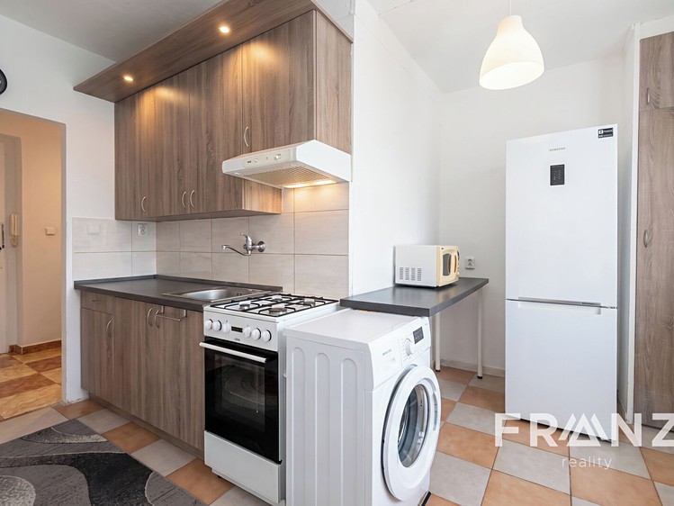 Pronájem bytu 1+1, 38 m² (13 z 15)