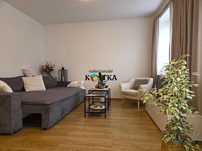 Pronájem bytu 1+1, 47 m² (2 z 9)
