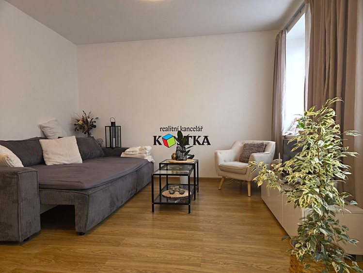 Pronájem bytu 1+1, 47 m² (2 z 9)