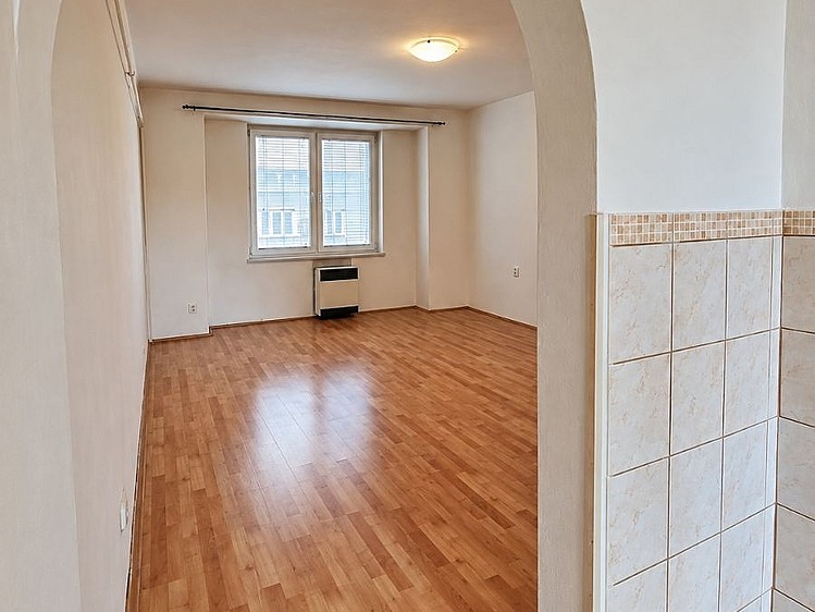 Pronájem bytu 1+1, 45 m² (16 z 24)