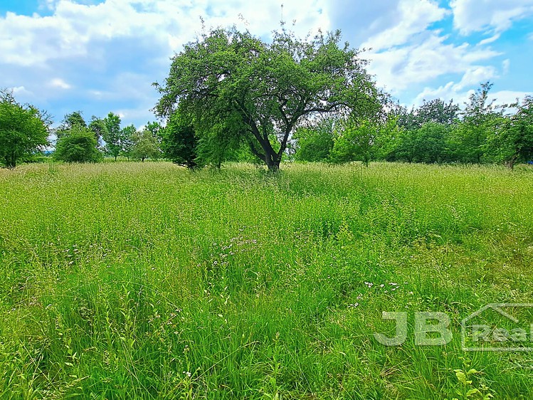 Prodej pozemku, 2 649 m² (8 z 11)
