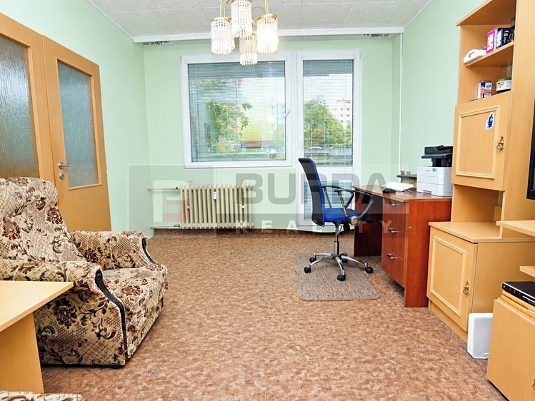 Pronájem bytu 3+1, 68 m² (13 z 40)