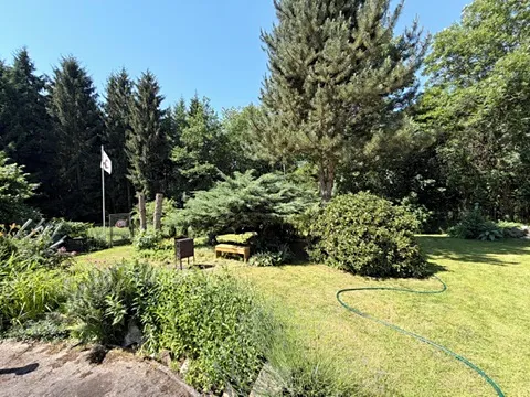 Fotka 14 z 30