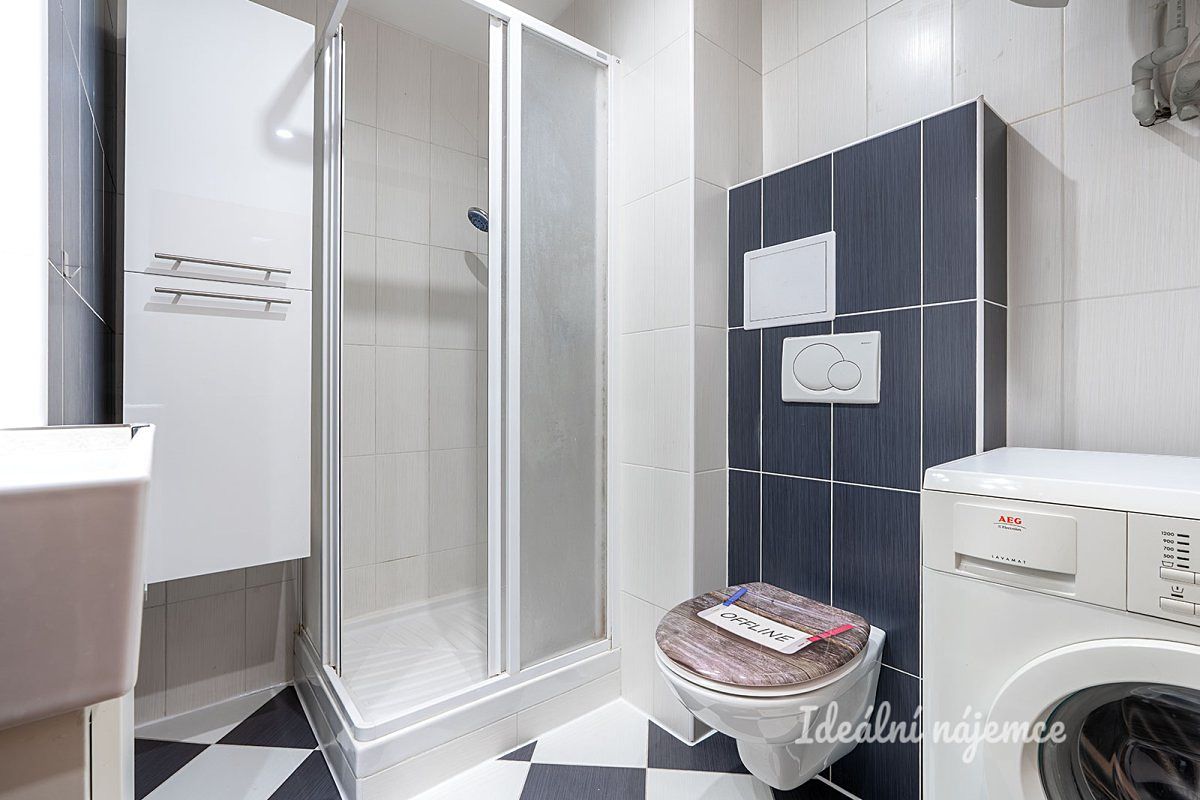 Pronájem bytu 1+1 43 m² – fotografie 3