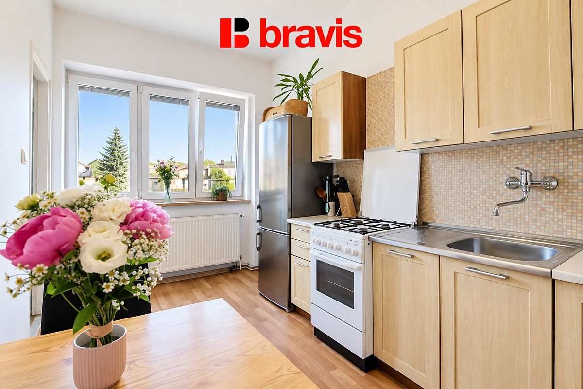 Pronájem bytu 1+1 48 m²