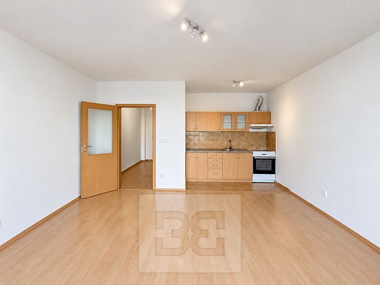 Pronájem bytu 1+kk, 42 m² (2 z 18)