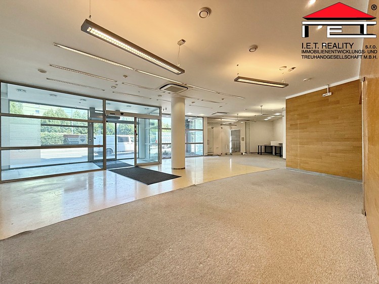 Pronájem komerčního prostoru, 193 m² (5 z 15)
