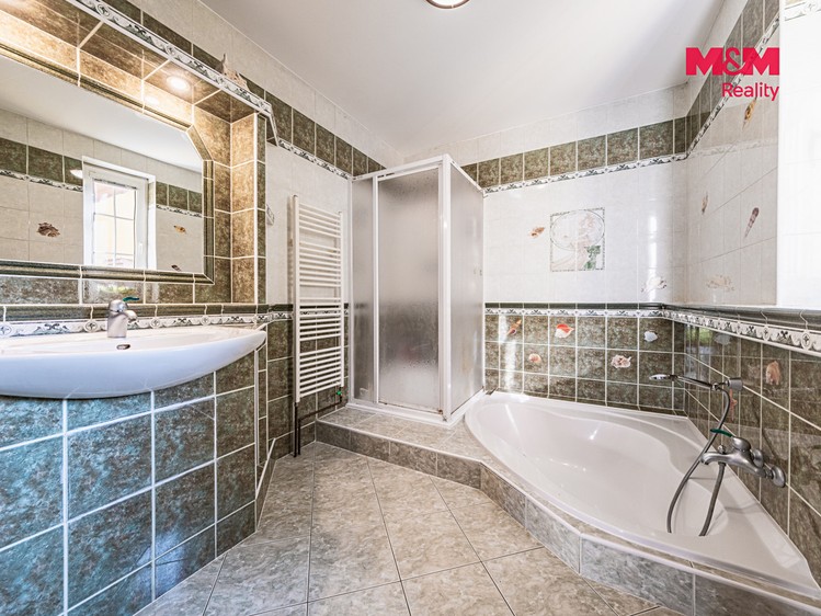 Будинок на продаж, 370 м² (11 з 30)