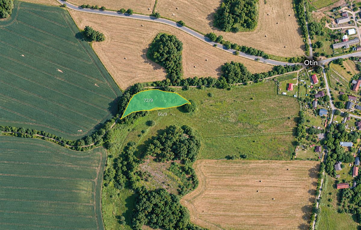 Prodej louky 5761 m², Planá – fotka 1 z 3