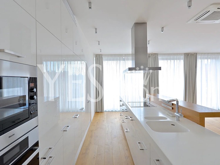 Wohnung 4+kk zur Miete, 229 m² (4 von 30)