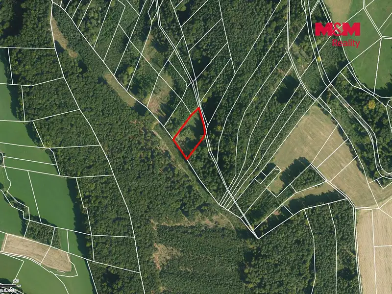 Prodej lesa 4481 m², Luže – náhled fotky 3