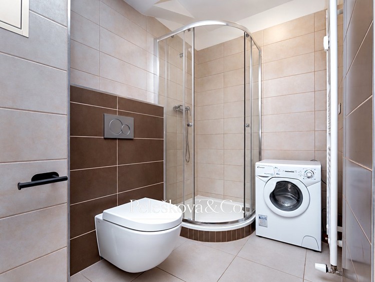 Wohnung 1+kk zur Miete, 38 m² (4 von 22)