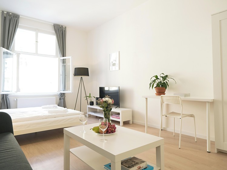 Pronájem bytu 1+kk, 36 m² (1 z 15)