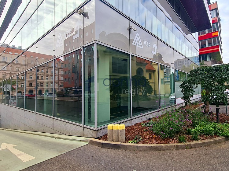 Pronájem komerčního prostoru, 194 m² (6 z 8)
