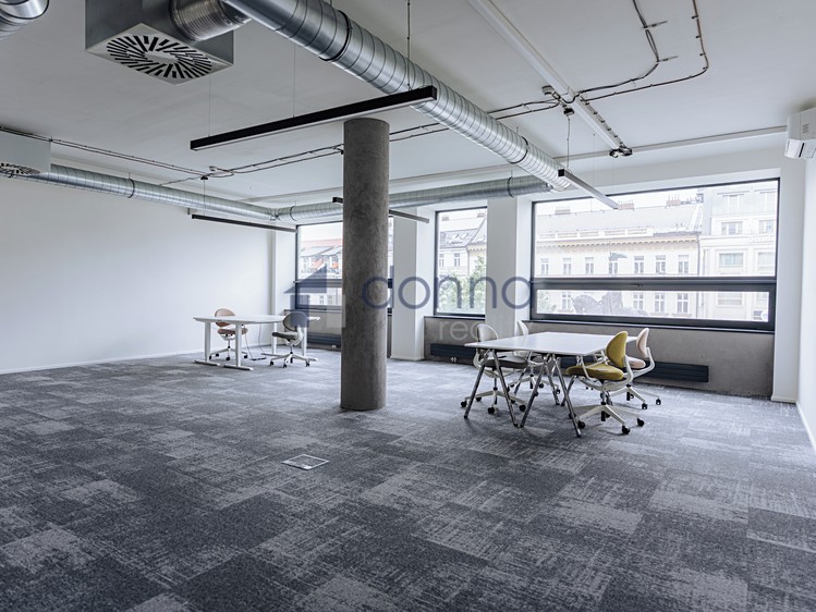 Комерційне приміщення в оренду, 326 м² (5 з 19)