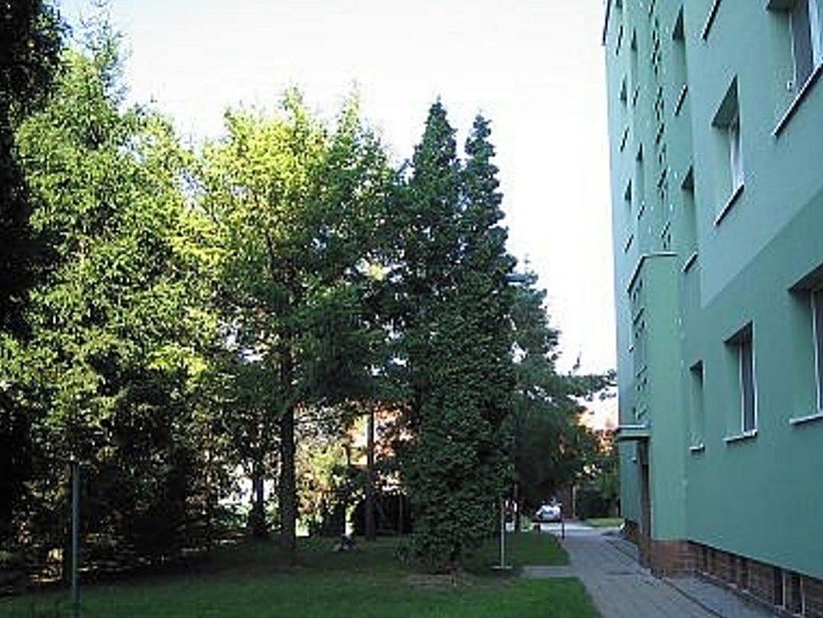 Ostatní