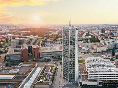 Комерційне приміщення в оренду, 31 м² (2 з 5)