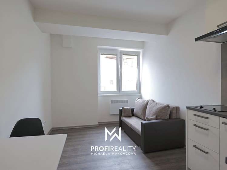 Pronájem bytu 1+kk, 18 m² (4 z 12)