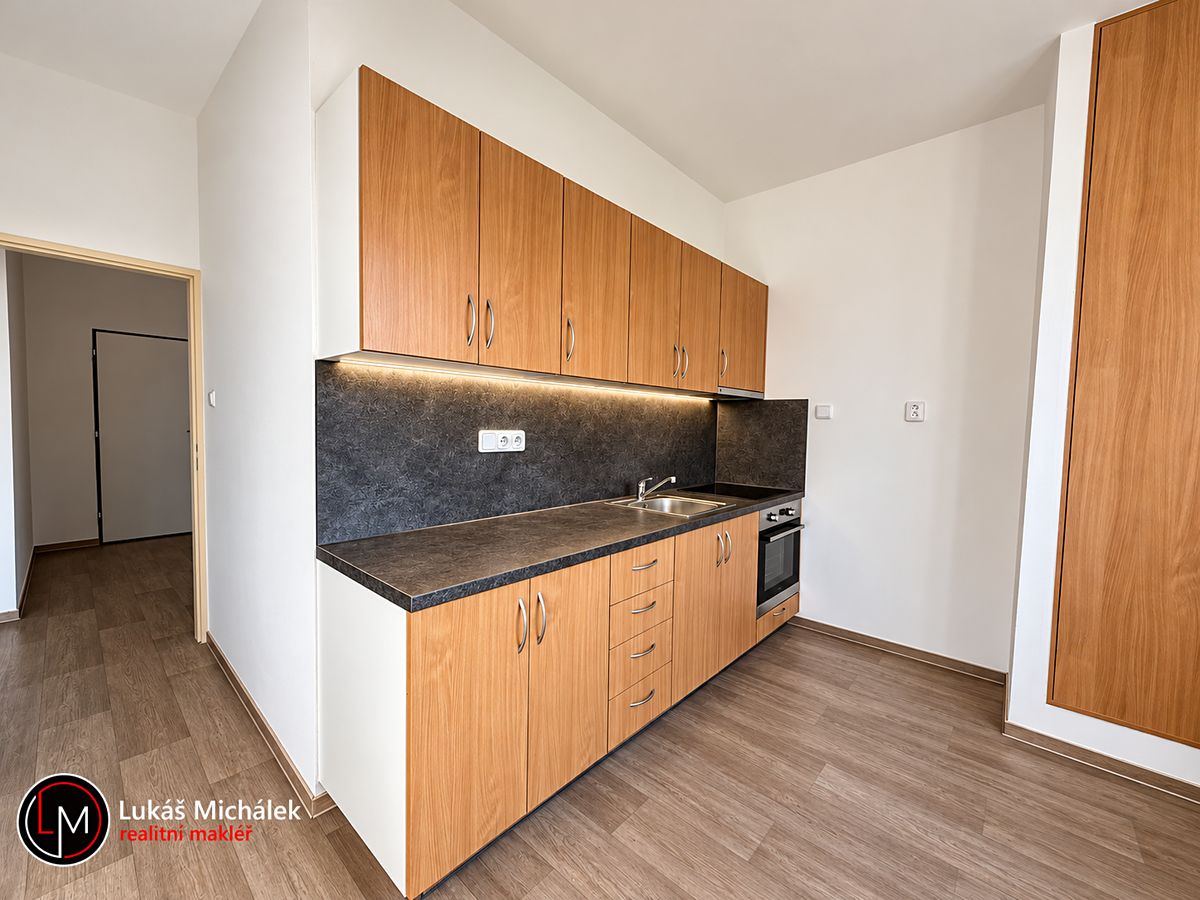 Pronájem bytu 1+1 42 m²