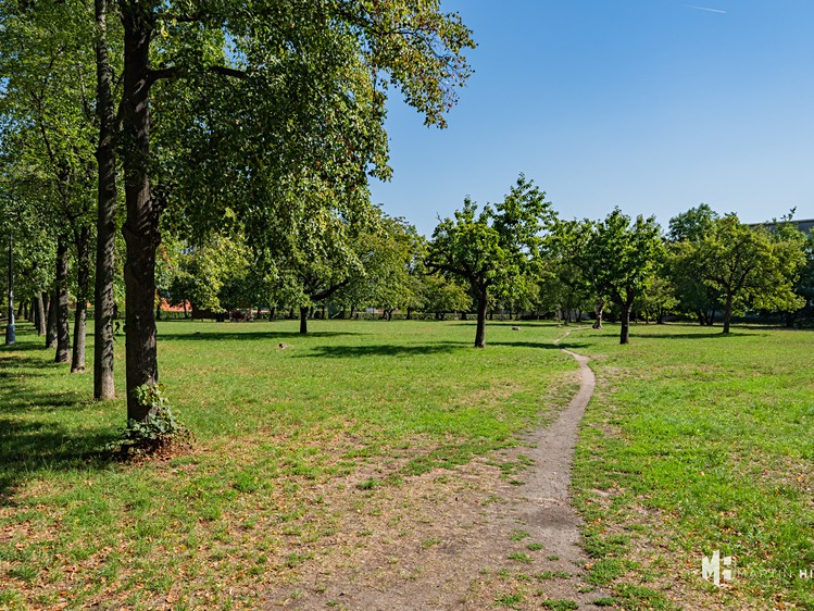 Prodej bytu 2+kk, 104 m² (43 z 56)