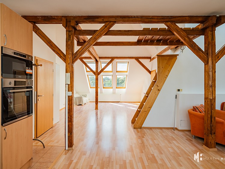 Prodej bytu 2+kk, 104 m² (13 z 56)