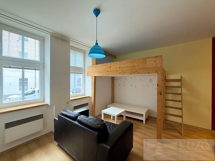 Pronájem bytu 1+kk, 25 m² (9 z 15)