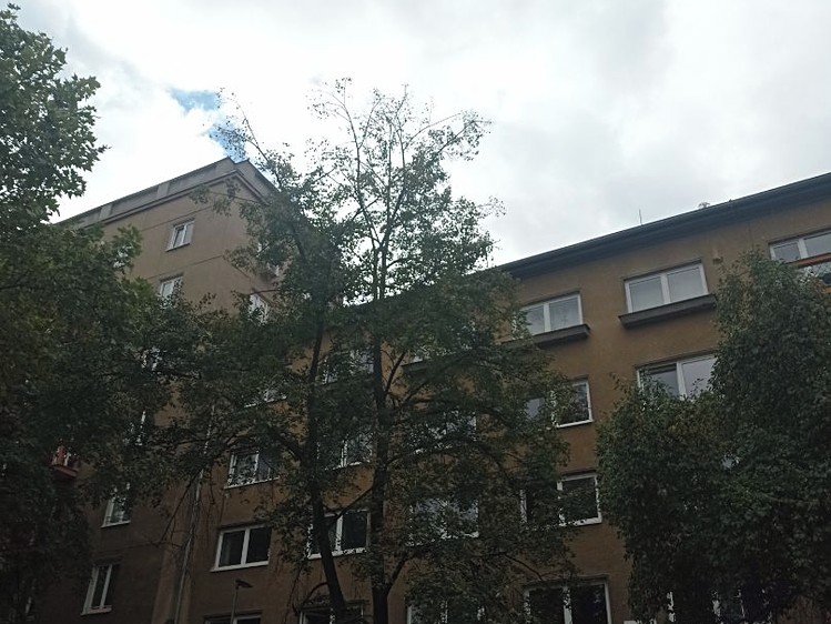 Wohnung 2+1 zum Kauf, 66 m² (4 von 14)