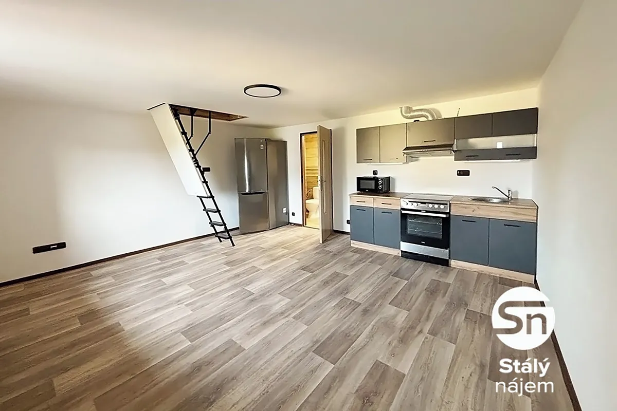 Pronájem bytu 1+kk 56 m²