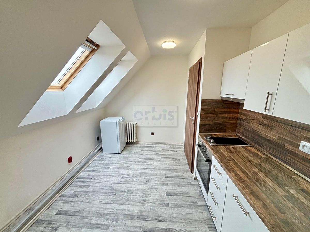 Pronájem bytu 2+1 47 m² – fotografie 3