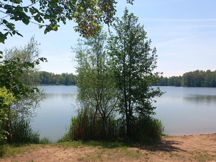 Prodej domu, 36 m² (13 z 14)