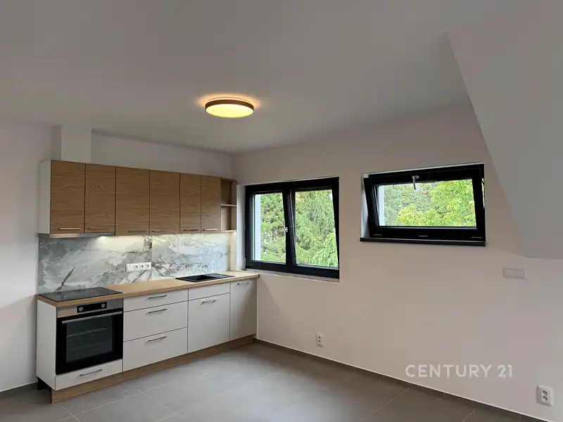 Pronájem bytu 2+kk 52 m², Bořanovice – náhled fotky 1