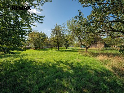 Haus zum Kauf, 222 m² (3 von 32)