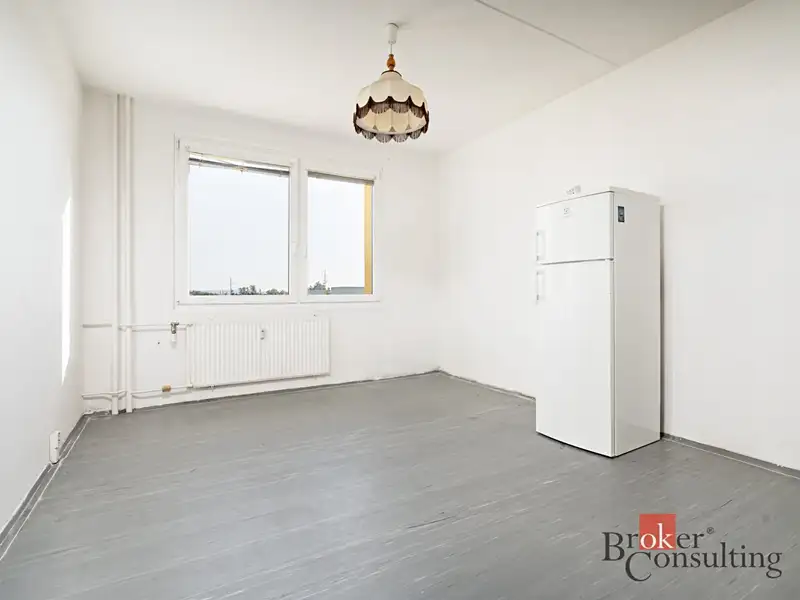 Prodej bytu 1+1 47 m², Plzeň – náhled fotky 3