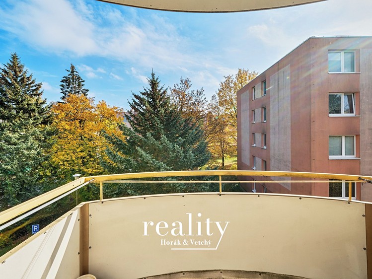 Prodej bytu 3+1, 74 m² (20 z 22)