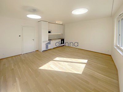 Wohnung 1+kk zur Miete, 39 m² (3 von 15)