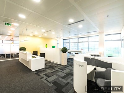 Pronájem komerčního prostoru, 140 m² (3 z 15)