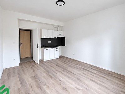 The 1+kk flat for rent, 28 m² (2 of 8)