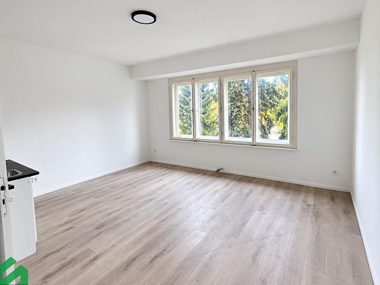 The 1+kk flat for rent, 27 m² (2 of 7)