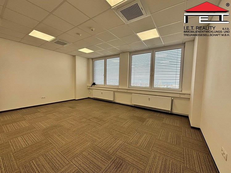 Pronájem komerčního prostoru, 800 m² (14 z 20)