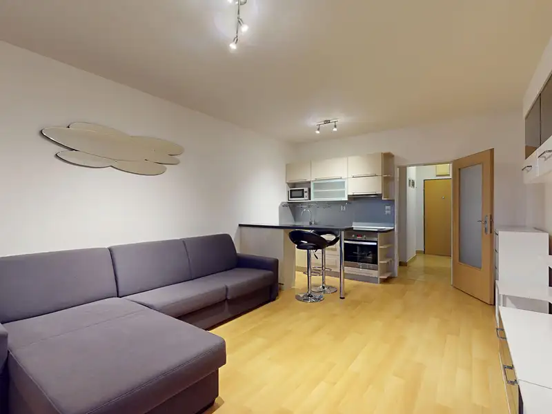 Prodej bytu 1+kk 31 m², Praha – náhled fotky 3