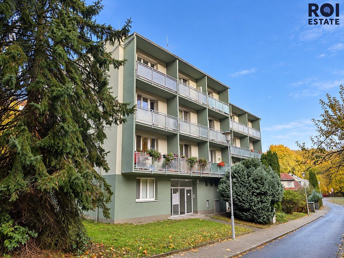 Pronájem bytu 1+1 36 m² – fotografie 4