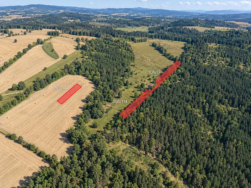 Prodej louky 3432 m², Vižina – náhled fotky 2