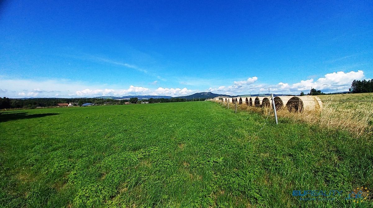 Prodej louky 17068 m², Police nad Metují – fotka 1 z 3
