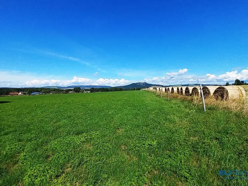 Prodej louky 17068 m², Police nad Metují – náhled fotky 1