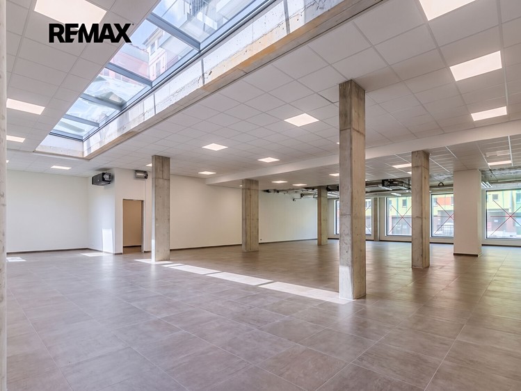Gewerbefläche zur Miete, 225 m² (18 von 23)