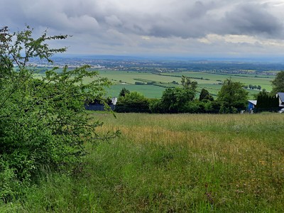 Grundstück zum Kauf, 1.419 m² (3 von 8)